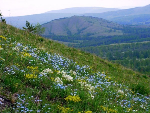 Южный Урал Башкирия горы Весна
