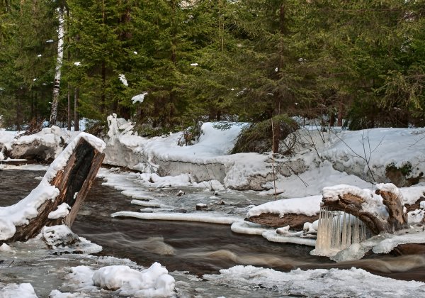 Природа Урала весной