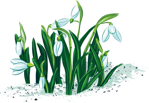 Весна символика