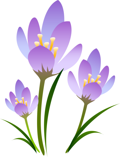 Подснежник для детей