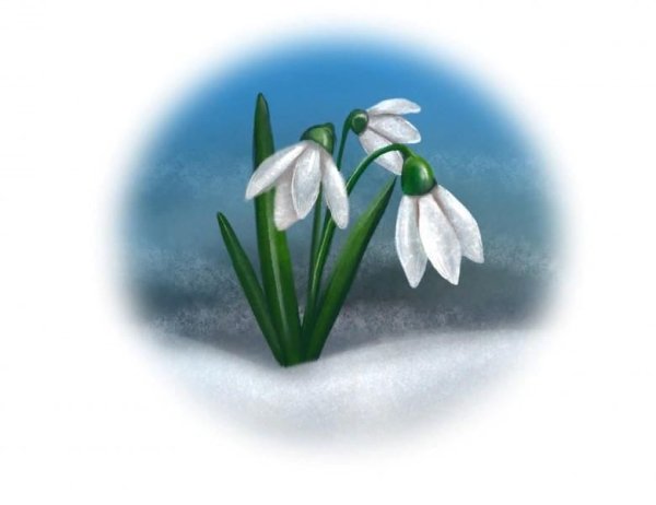 Подснежники рисунок