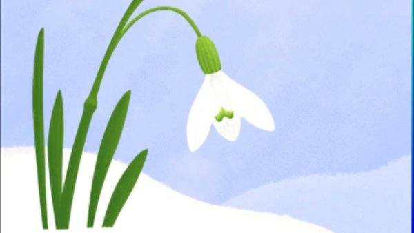 Зоя Александрова Подснежник