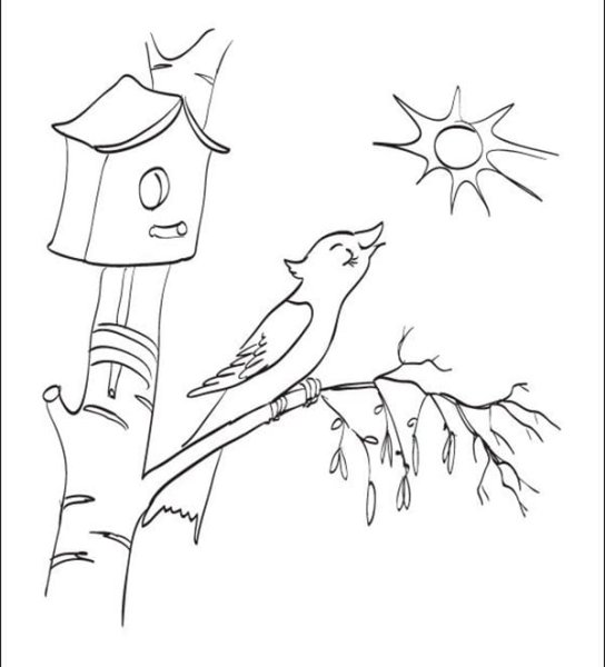 Скворечник раскраска для детей