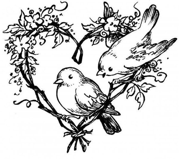 Выжигание птицы