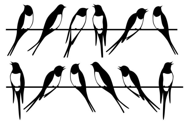 Ласточка сидит силуэт