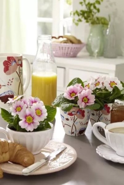 Красивый завтрак с цветами