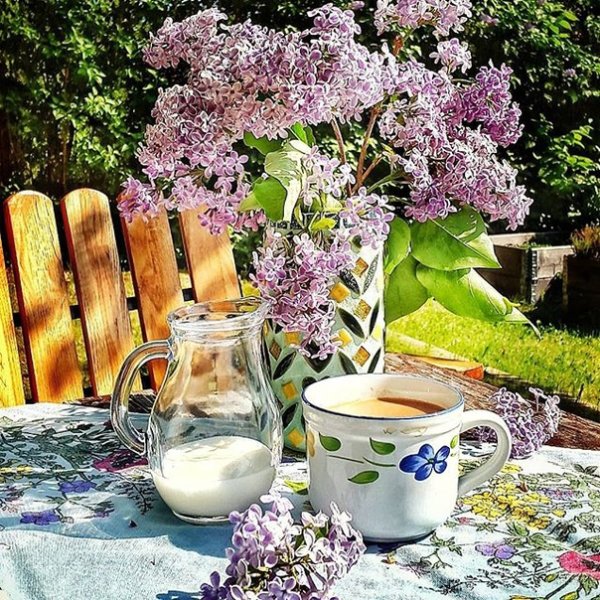 Чаепитие в цветущем саду