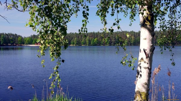 Озеро Березовое Березово