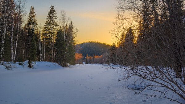 Весна в тайге