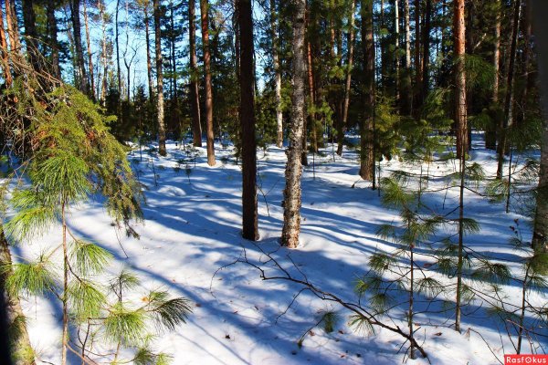 Весна в Сибири
