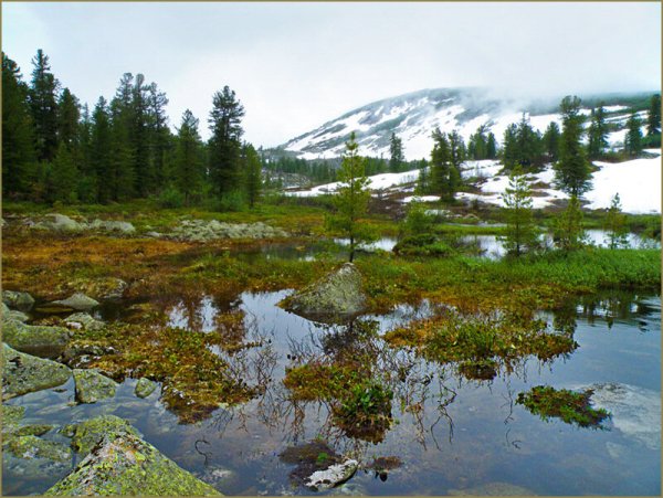 Весенняя Тайга