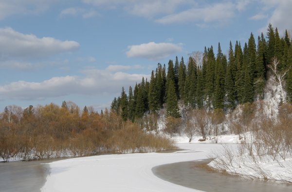 Миккельское болото Карелия