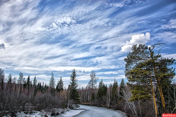 Тайга Сибирь Тюхтет