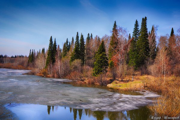 Охотская Тайга