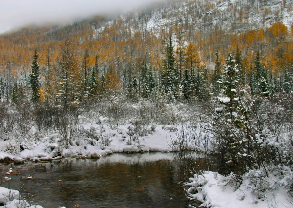 Саяны Хакасия природа