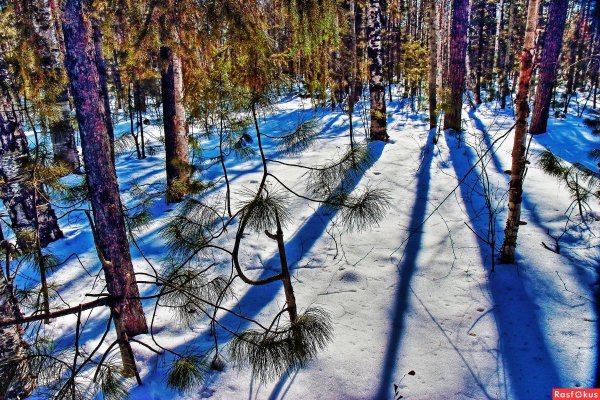 Речка зимой в лесу