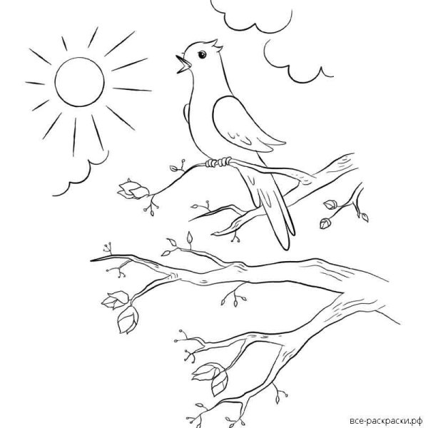 Раскраска. Весна