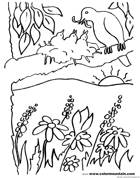 Раскраски для детей на тему Весна