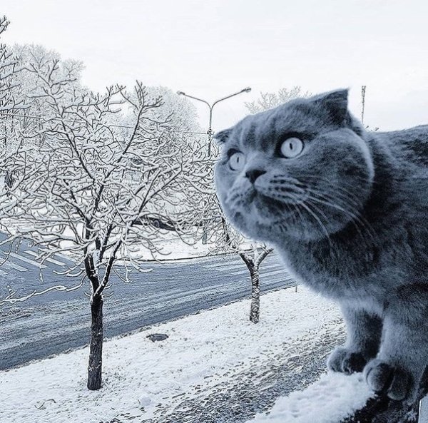 Весна прикольные