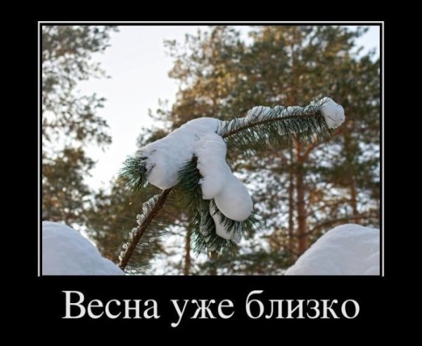 Приколы про зиму и весну