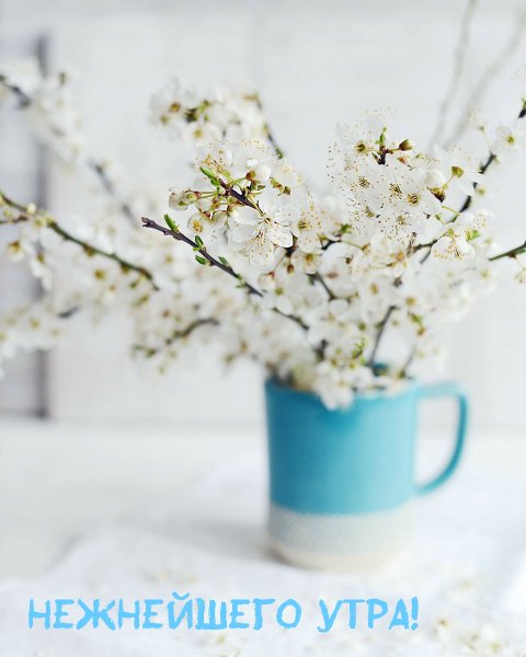 Ранняя Весна Эстетика