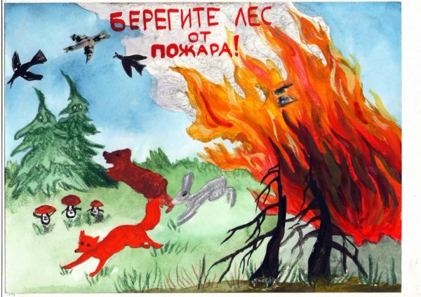 Тушите костер в лесу