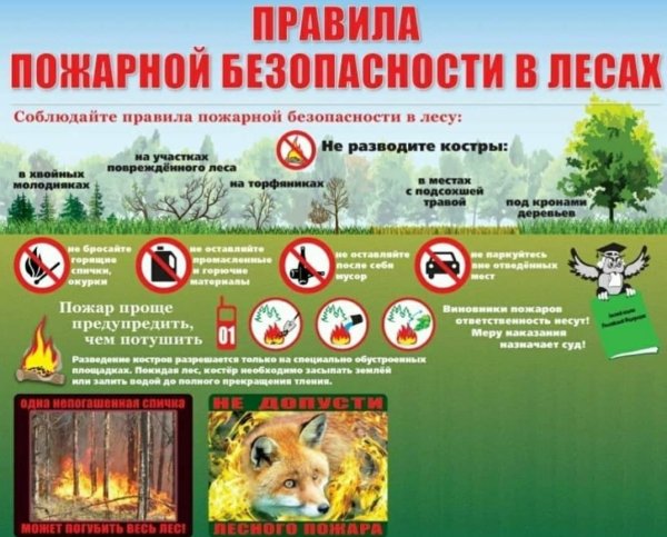 Листовка МЧС пал травы