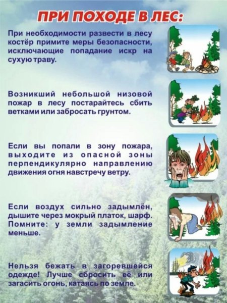 Памятка по пожарной безопасности в лесу