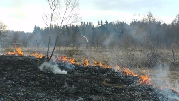Пожарная безопасность в лесу