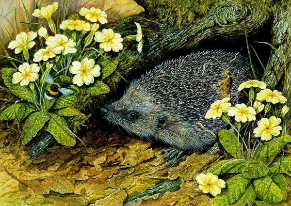 Ирина Глущенко ежики