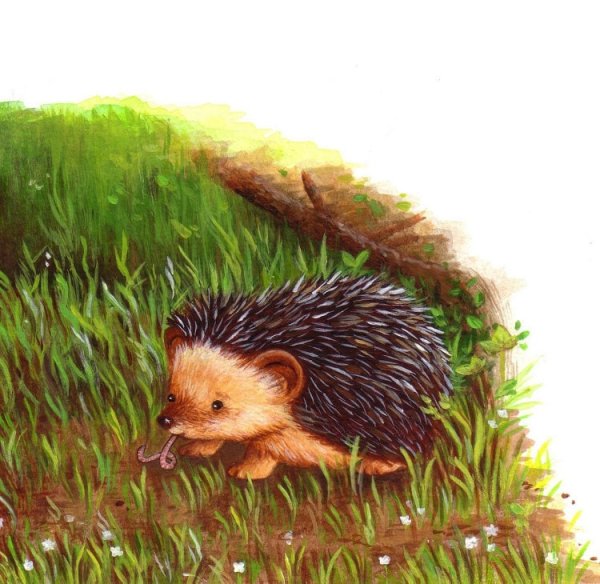 Ежонок в лесу для детей