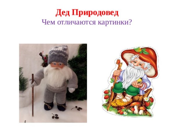 Старичок Лесовичок