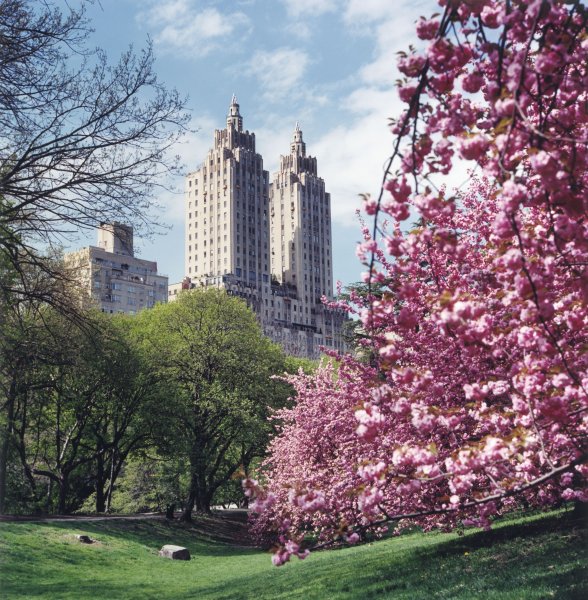 Централ-парк в Нью-Йорке весной