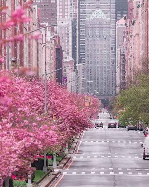 Весна в Америке