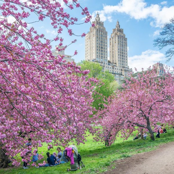 Центральный парк Нью-Йорк