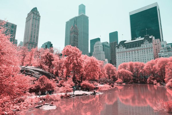 Весна в Нью-Йорке