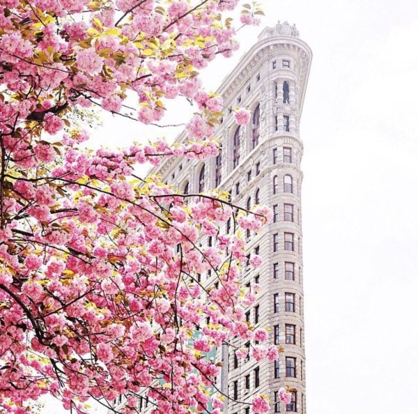 Улица парк Авеню Нью Йорк