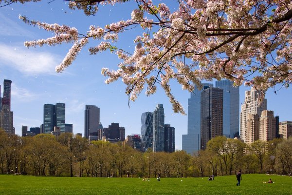 Весна в Нью-Йорке Центральный парк