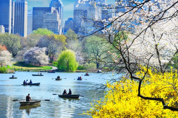 Центральный парк Нью-Йорк весной