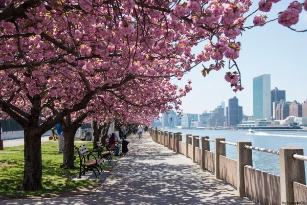 Весна в Нью-Йорке