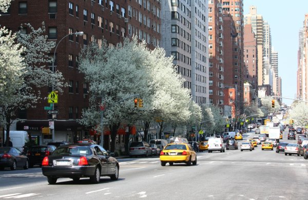 Весна в городе