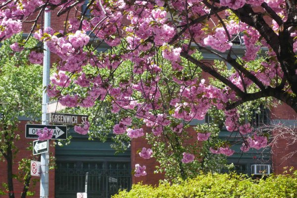 Ист Ривер парк в Нью-Йорке