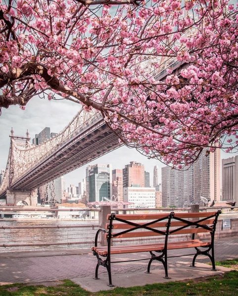 Центральный парк Нью-Йорк весной