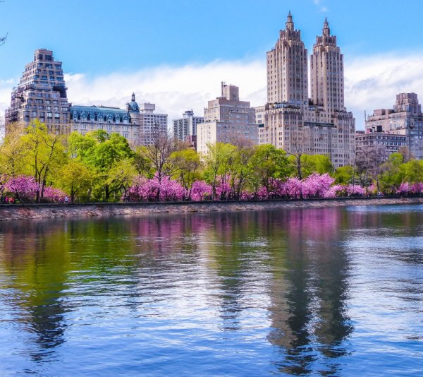 Спринг стрит Нью-Йорк