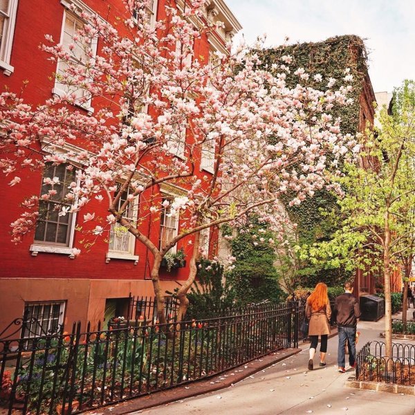 Централ парк Нью-Йорк