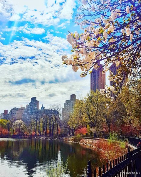 Весна в Нью-Йорке Центральный парк