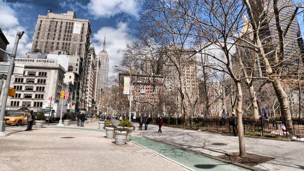 Нью-Йорк Цветущая Магнолия