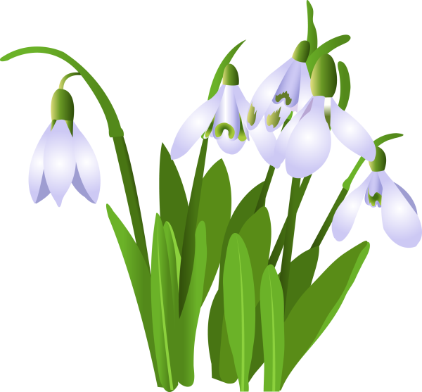 Весна для детсада