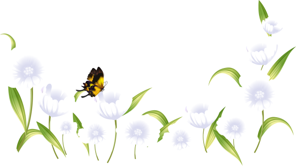 Вена на прозрачном фоне