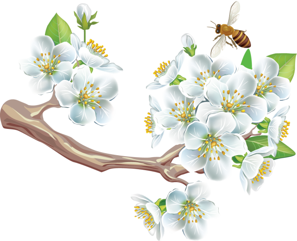 Весенние птицы на прозрачном фоне